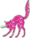 Pink Cat
