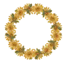 Circle of Flowers - Good Morning