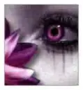 The Pink Eye