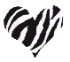 zebra heart