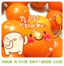 HAVE A NICE DAY