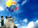 ZEBRA IN THE SKY