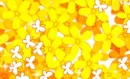 yellow flowers