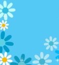 blue flowers