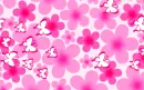 pink flowers