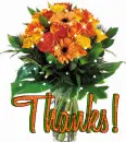 Thanks!