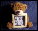 bear