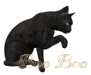 Boo Boo