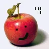 bite me!