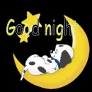 good night