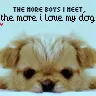 the more boys i meet