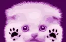 Sad Kitty
