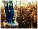 Standing on a Chair in the Field