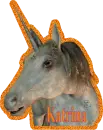 katrina - unicorn