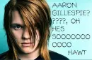 Aaron Gillespie mii little hawtie