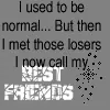 my best friends