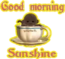good morning sunshine
