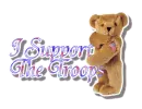 I support the troops