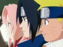 Team 7