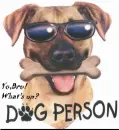Dog in Sun Glasses