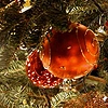 ornaments <3