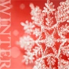 winter <3