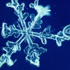 snowflakes <3