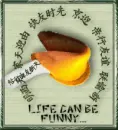 Fortune Cookie