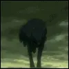 wolf's rain