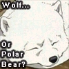 wolf's rain