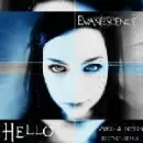 Amy Lee
