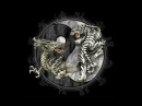 dragon/tiger yinyang