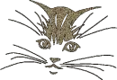 black cat head