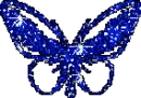 blue butterfly