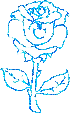 blue rose