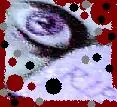 rip eye