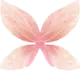 FAIRY WINGS