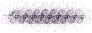Purple Curlicue Divider