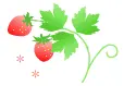 strawberry plant