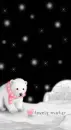 polar bear lovely winter 