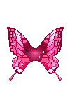 pink butterfly