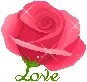 rose