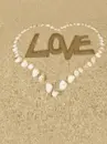 love in the beachs