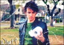 Kevin Jonas