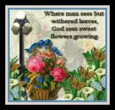 Spring Quote