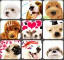 PUPPIES