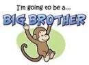 big brother