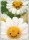 HAPPY FLOWERS