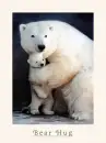 bear hug
