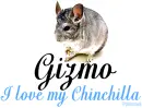 I love my Chinchilla